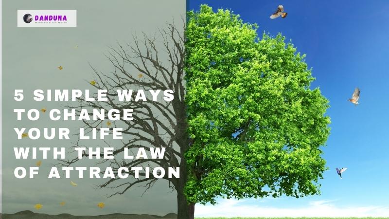 5 Simple Ways to Change Your Life With The Law Of Attraction