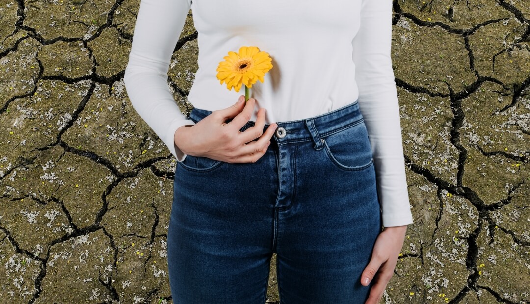 vaginal dryness after menopause