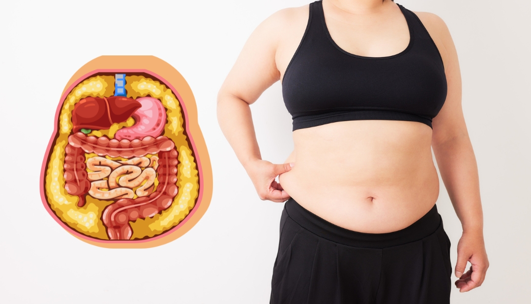 menopause belly fat